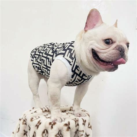 fendi dog vest|Fendi handbags sale.